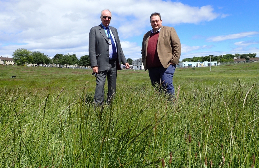 Brodie Drive long grass